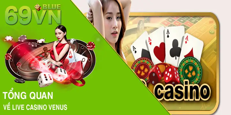 Tổng quan về live casino Venus